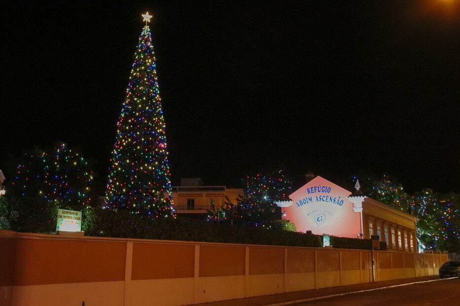 Inauguração das luzes de Natal em Faro