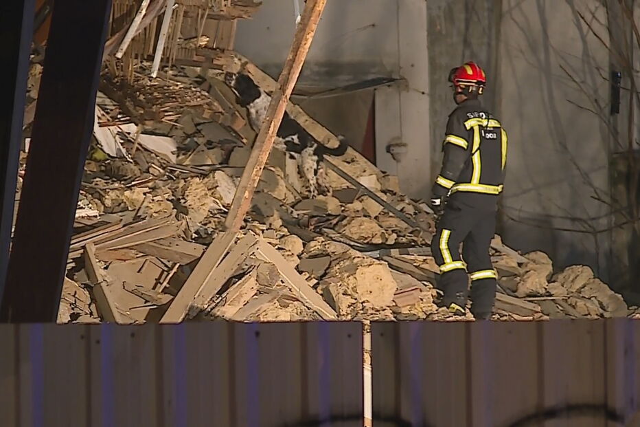 Cães de resgate mobilizados para o local