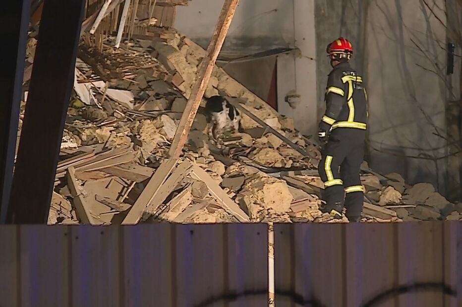 Cães de resgate mobilizados para o local