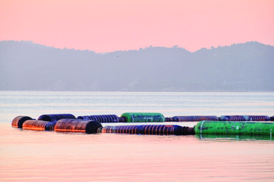 Mitrena tem identificada área para os dragados 