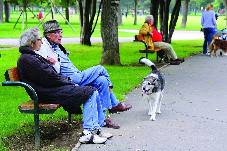 Mudanças nas regras das reformas antecipadas ditaram mais  pedidos 