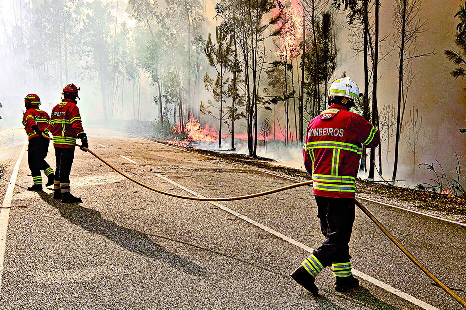 Área ardida limite, definida pelo Plano Nacional de Defesa da Floresta Contra Incêndios, foi ultrapassada 