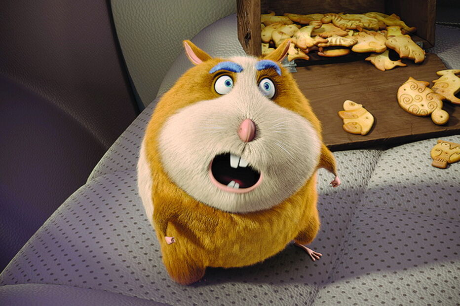 'O Segredo das Bolachas'