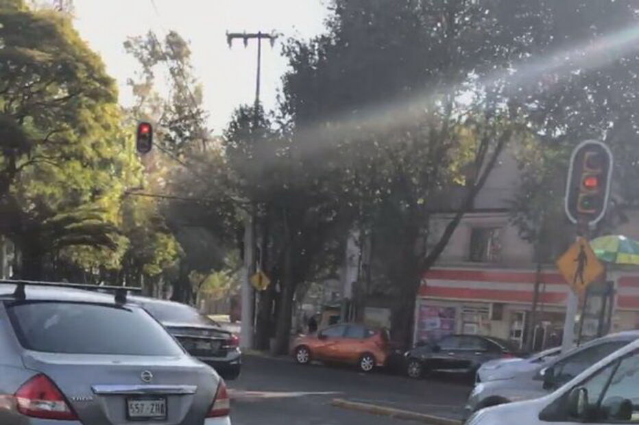 Cão persegue o carro do dono após este o abandonar na rua