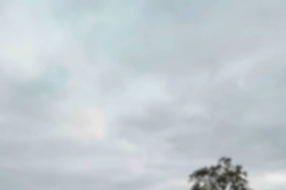 2019-12-07_15_12_18 dailycristina_75566998_476232099663601_7583367110388136778_n.jpg