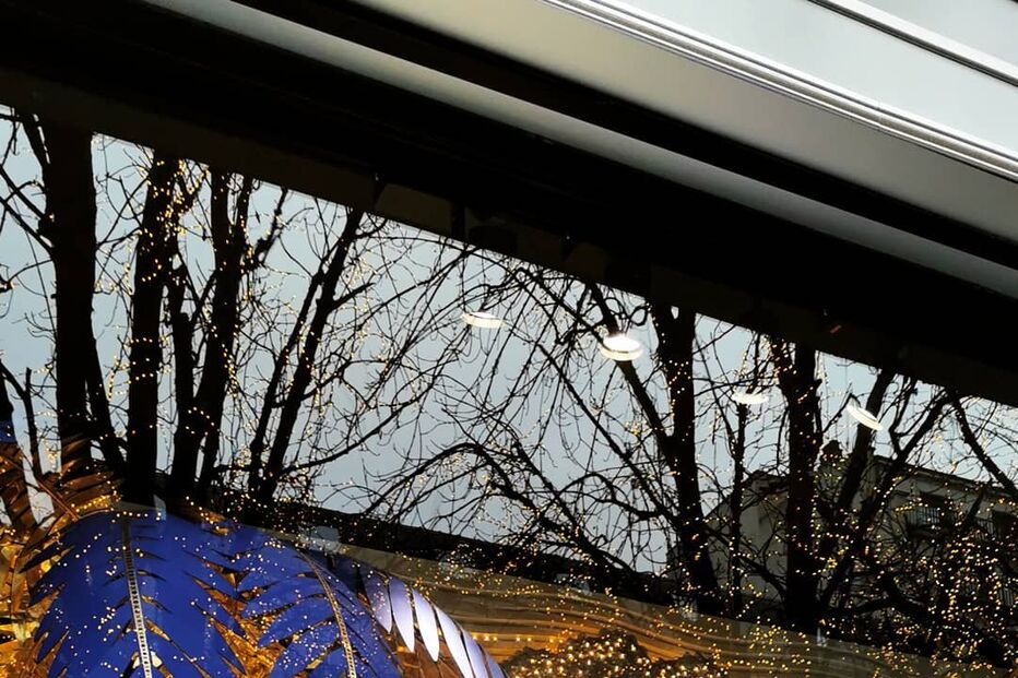 2019-12-07_15_12_19 dailycristina_79297496_528566604395723_3253047380542244140_n.jpg