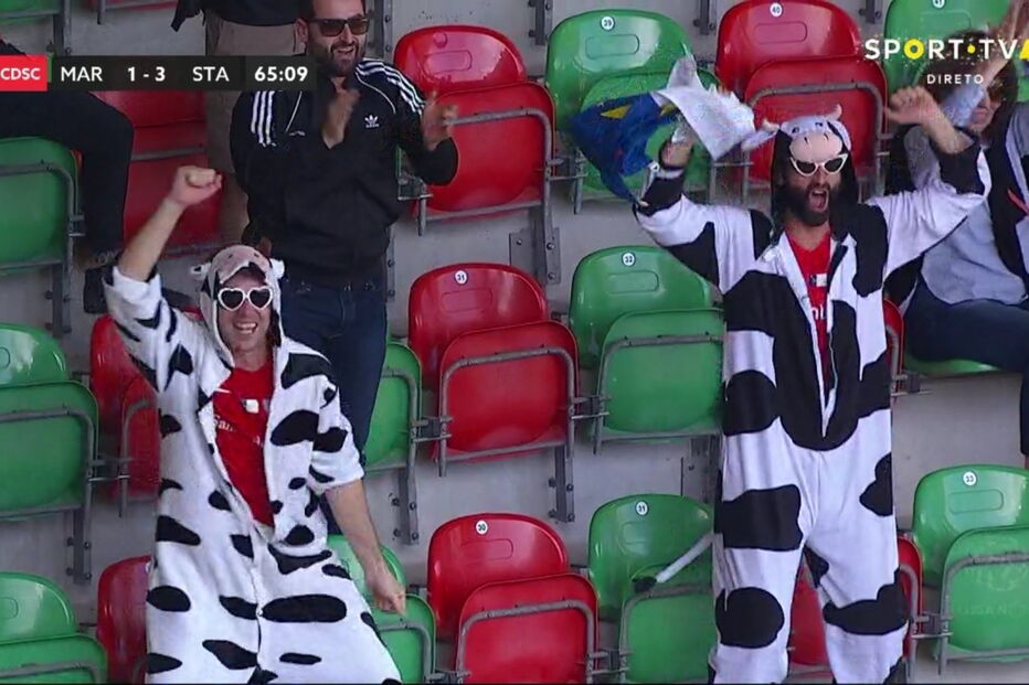 Adeptos do Santa Clara vestem-se a rigor e apoiam equipa na Madeira vestidos... de vaca