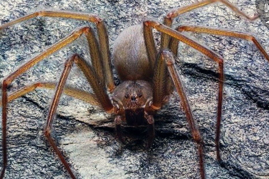 2019-12-11_12_42_58 EK4lm0iXsAUgmGN.jpg