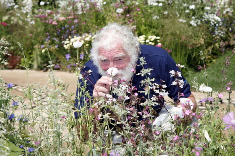 Morreu o apresentador de televisão David Bellamy aos 86 anos