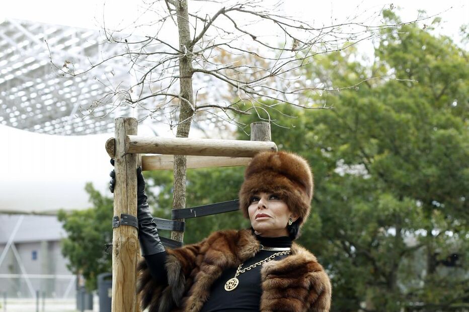 José Castelo Branco