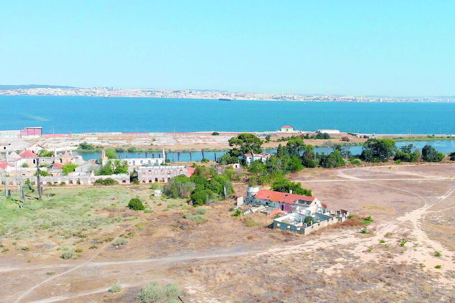 Parecer positivo a um projeto de urbanização da Quinta Braancamp, no Barreiro, está na base da polémica na Quercus  