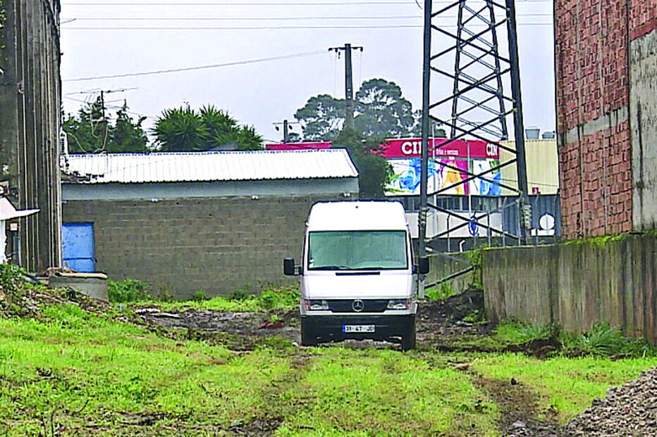 Carrinha tinha 80 caixas de bacalhau