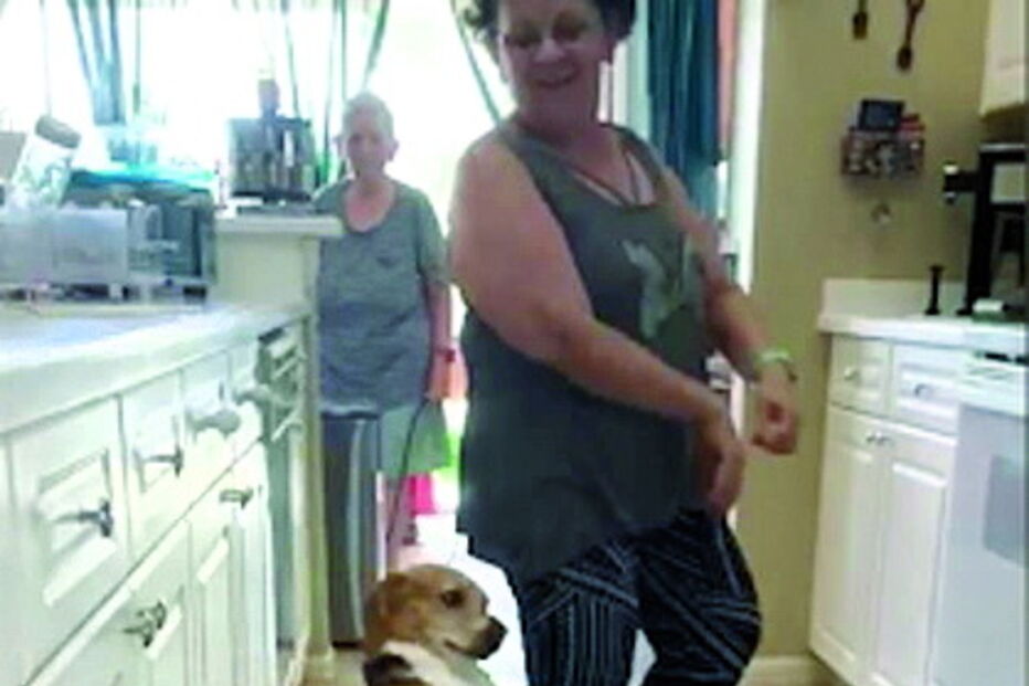 Cão 'apanhado' a dançar reggaeton com a dona