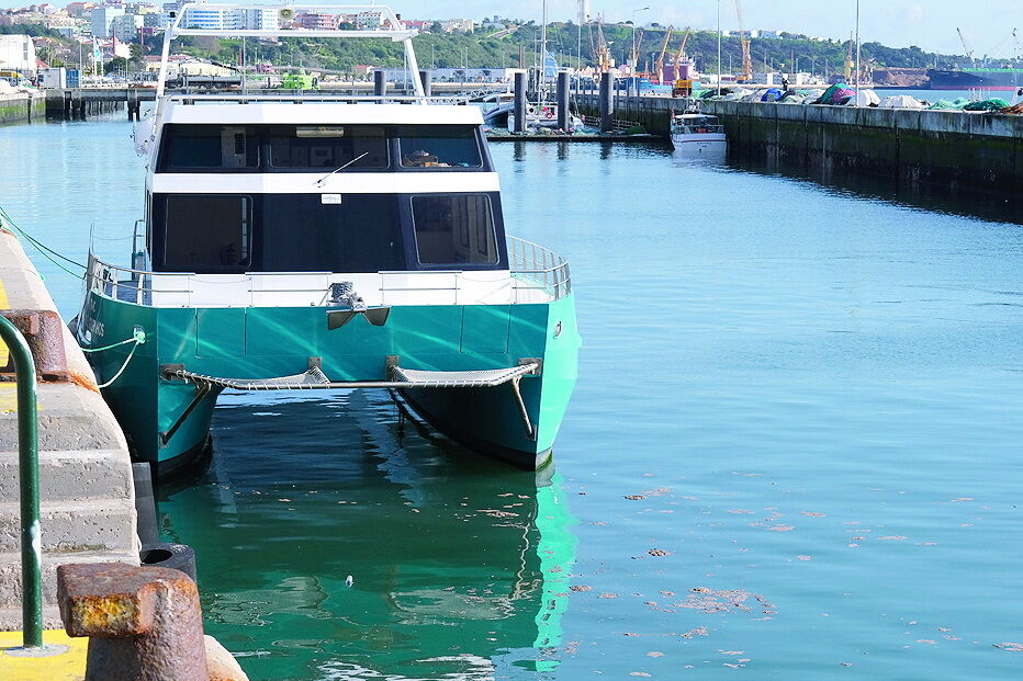 Manchas castanhas surgiram no estuário devido à remoção do fundo por parte da draga 