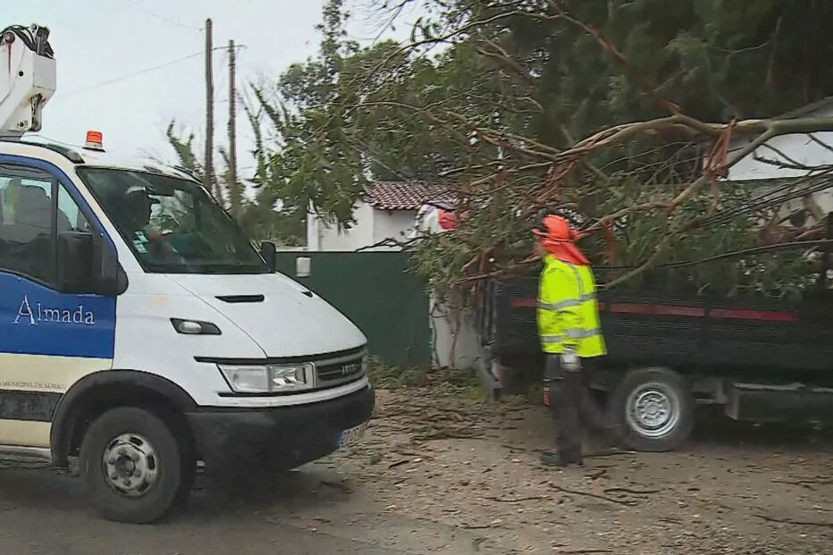 Queda de árvore desaloja nove pessoas em Almada