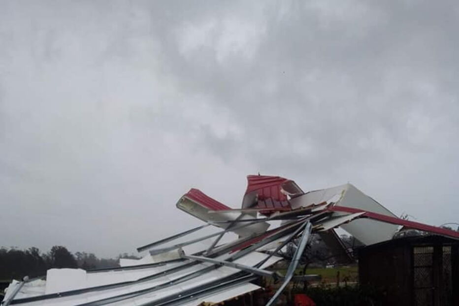 'Elsa' causa avultados prejuízos em vacarias de Vila do Conde. Veja as imagens