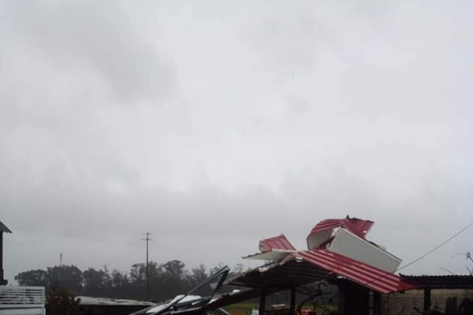 'Elsa' causa avultados prejuízos em vacarias de Vila do Conde. Veja as imagens