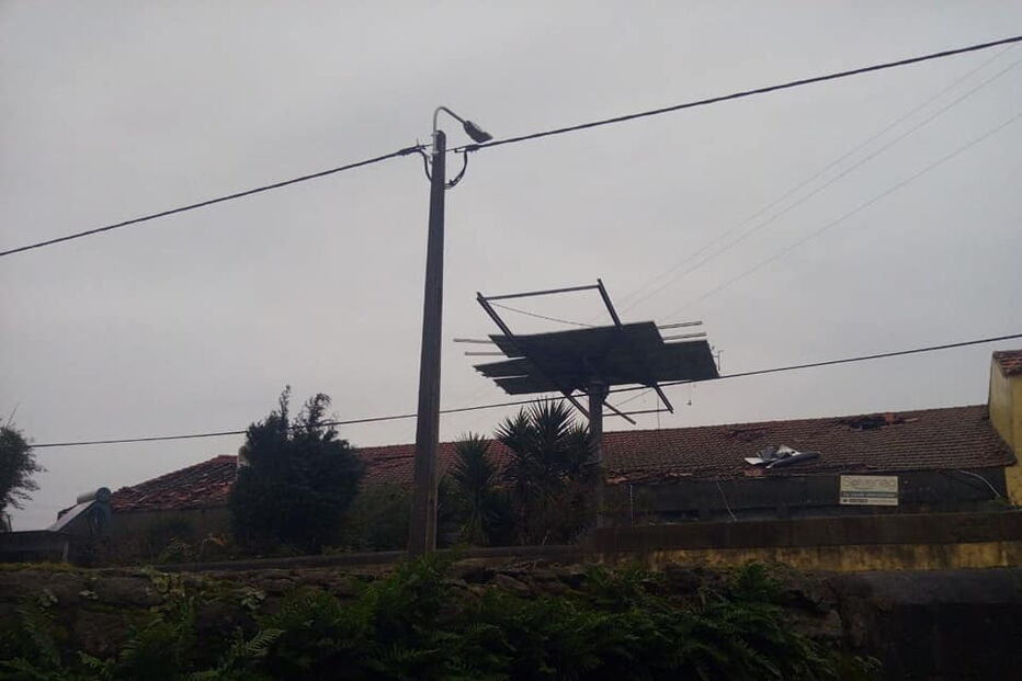 'Elsa' causa avultados prejuízos em vacarias de Vila do Conde. Veja as imagens