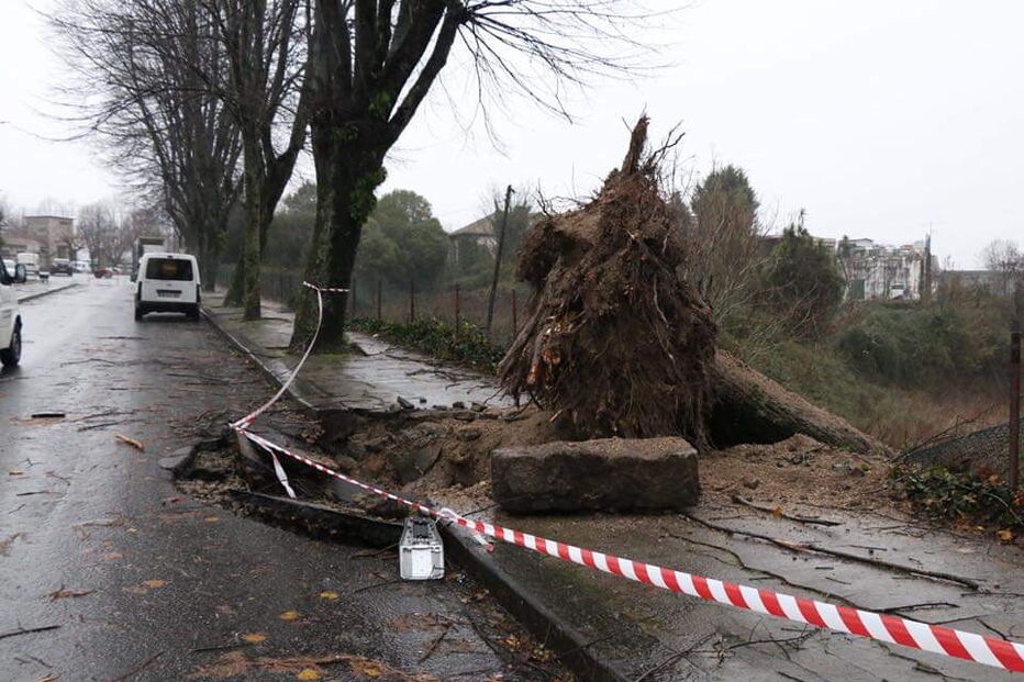 O rasto de destruição de 
