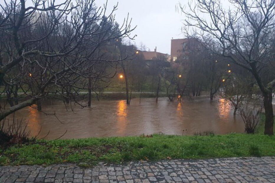 O rasto de destruição deixado pela depressão 