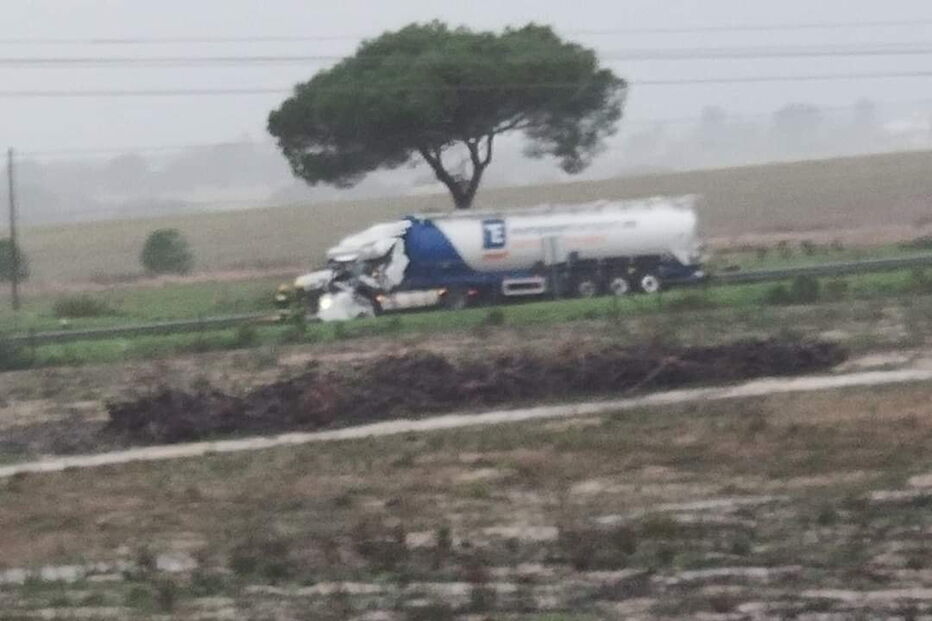 Árvore cai em cima de camião e mata condutor no Montijo