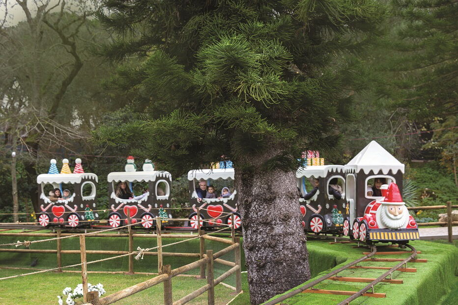 Vila Natal em Cascais