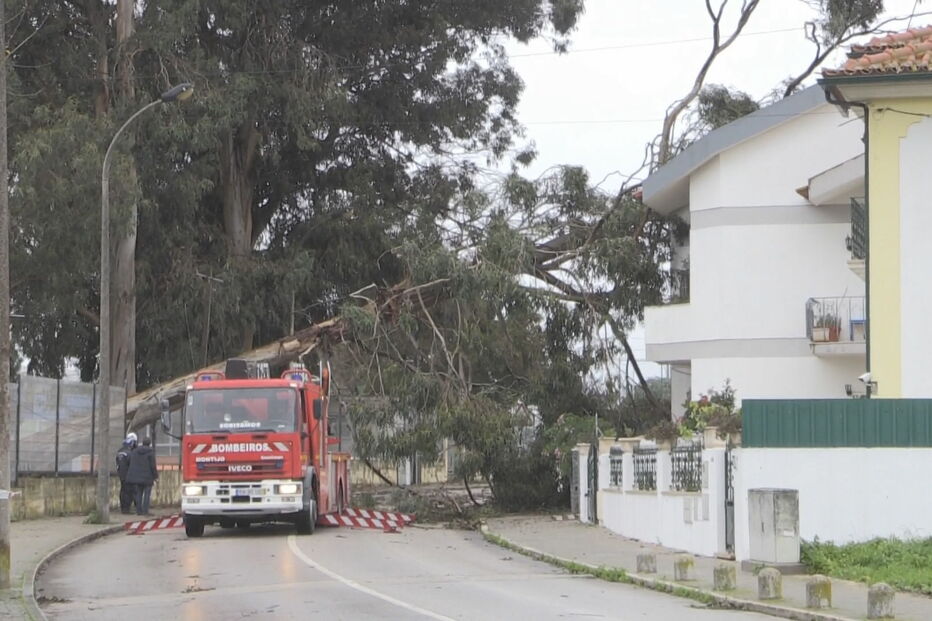 Queda de árvore danifica casa no Montijo