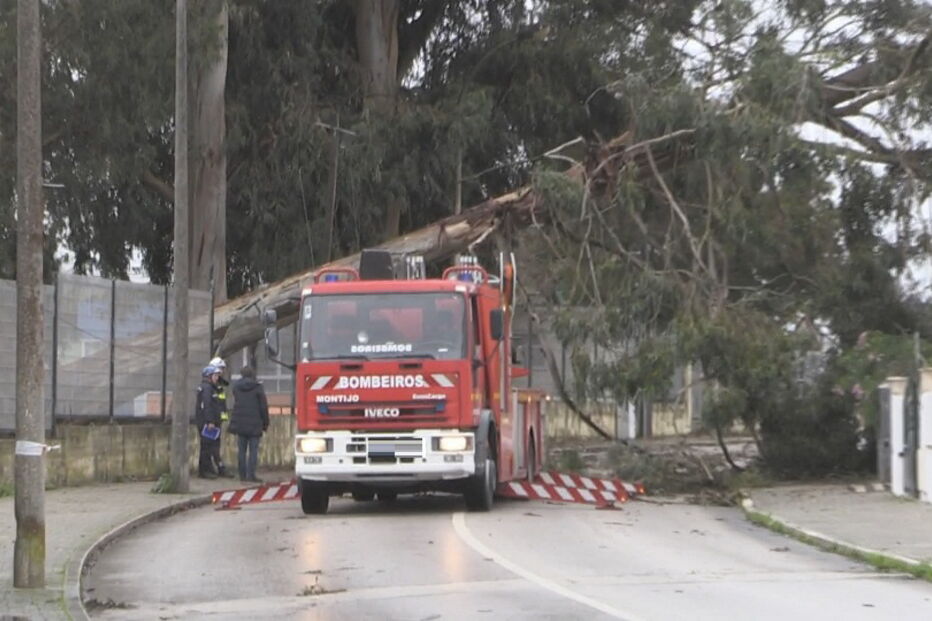 Queda de árvore danifica casa no Montijo