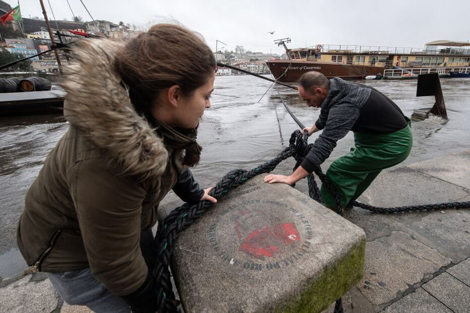 2019-12-20_15_36_29 32881048.jpg