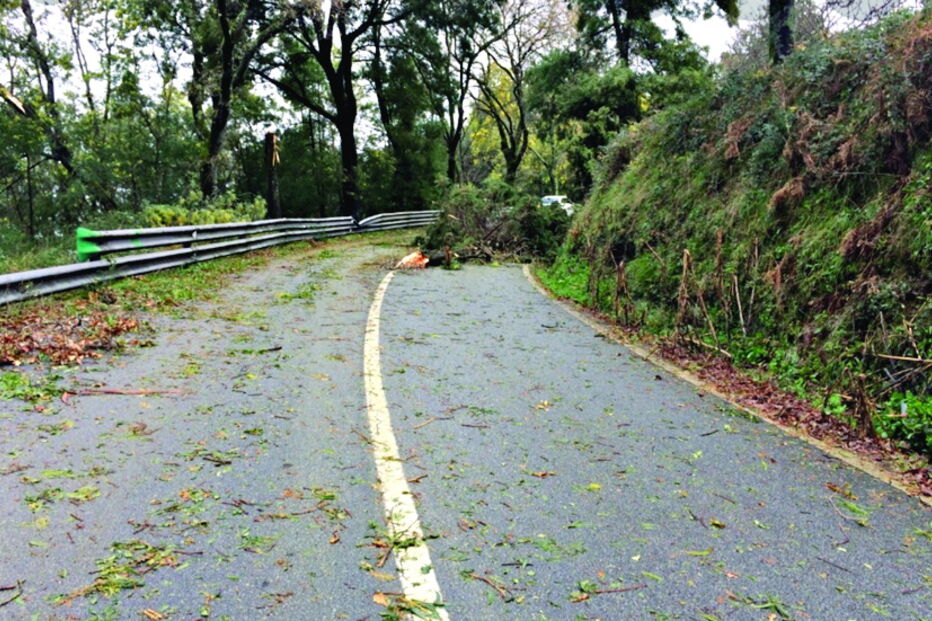 Depressão 'Elsa' provoca vários estragos de Norte a Sul do País