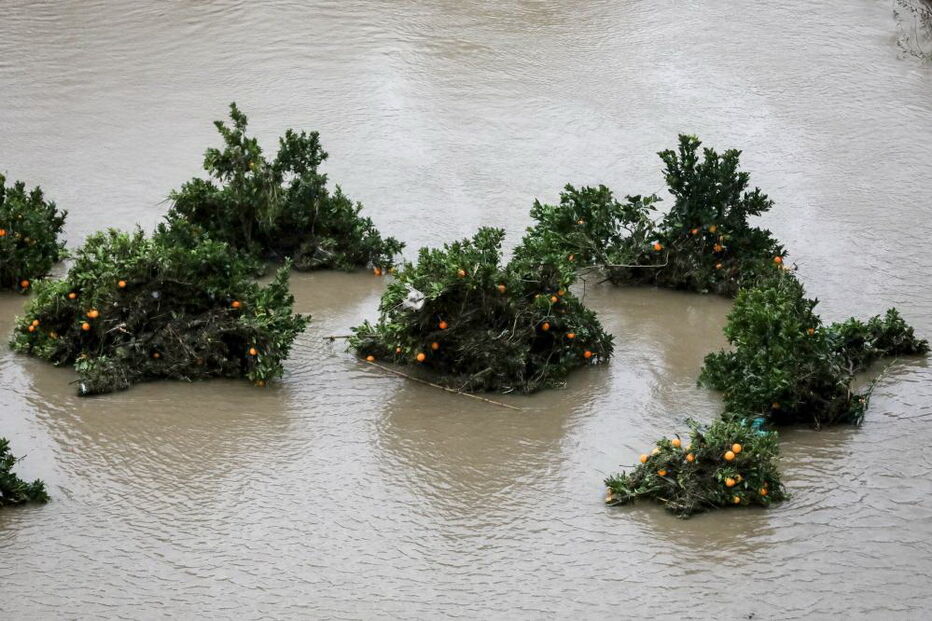 Mau tempo em Coimbra