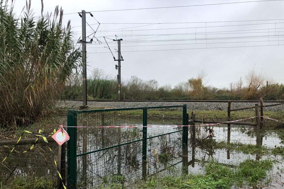 2019-12-22_09_38_53 96f80cc4-cfc1-43fd-8c8f-a626a68b3991.jpg