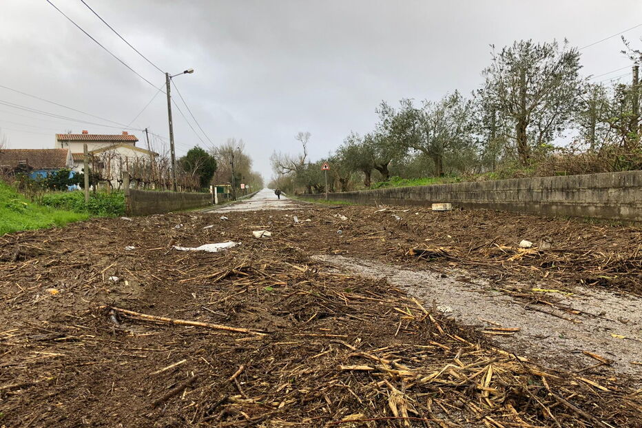 Destruição causada pela Depressão Fabien, Formoselha