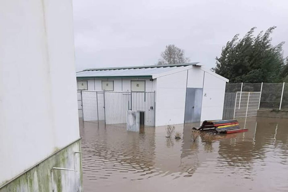 Mau tempo obriga a retirar 100 animais do canil de Coimbra. 60 foram acolhidos por famílias