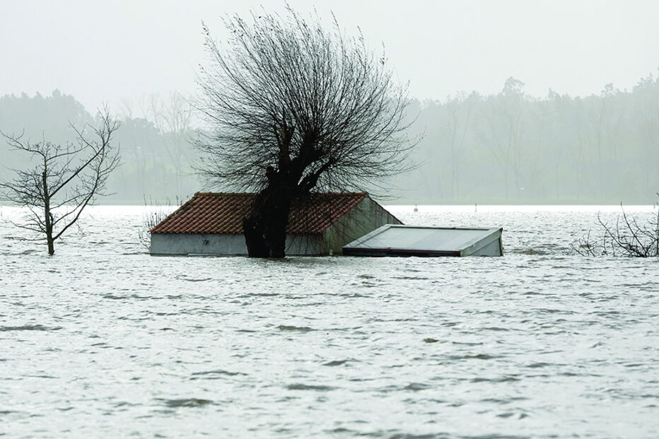 Estruturas agrícolas ficaram submersas em vários locais 