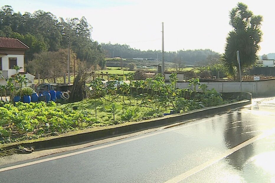 Mulher de 65 anos morre atropelada pelo irmão