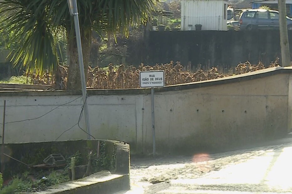 Mulher de 65 anos morre atropelada pelo irmão