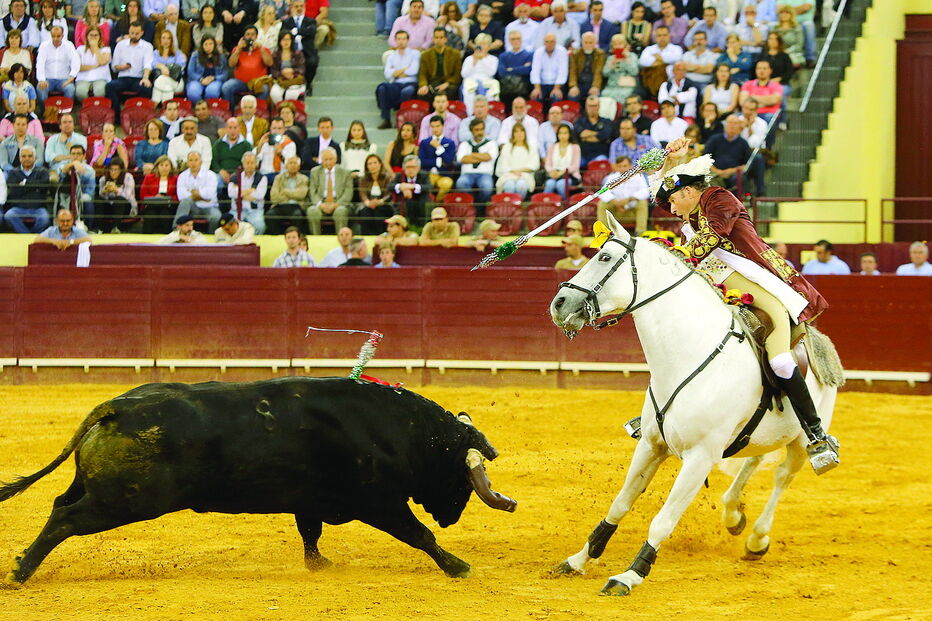 António Ribeiro Telles foi o cavaleiro que registou mais atuações em praças portuguesas no ano que agora termina - 32, no total 