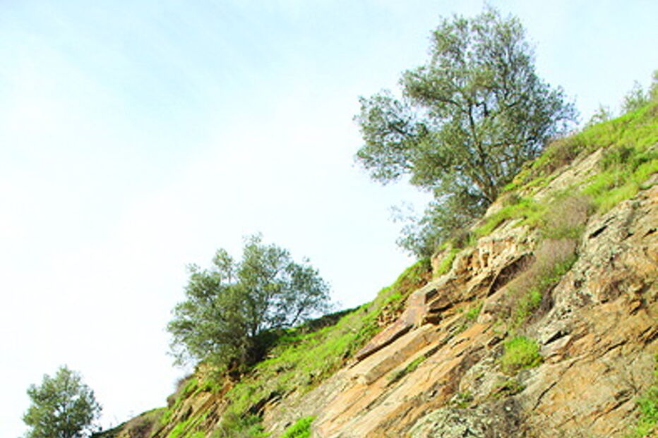 Mau tempo em Carrazeda de Ansiães