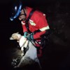 Bombeiros resgatam cinco cães de minas em Montemor-o-Novo