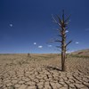 Verão 'cresce' e chega a seis meses de duração, aponta estudo climático com previsão até 2100