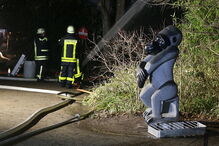 Dezenas de animais morrem queimados após incêndio na Alemanha