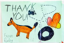 Crianças enviam postais com mensagens para os bombeiros australianos