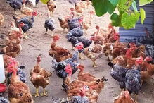 2020-01-03_13_00_31 02.jpg