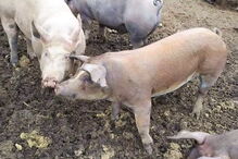 2020-01-03_13_00_32 03.jpg