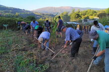 2020-01-03_13_00_33 07.jpg