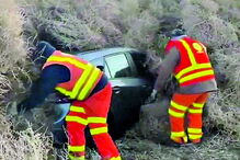 Condutores ficam presos por ervas com 4,5 metros de altura em Washington 