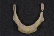 Suicídio de Jeffrey Epstein