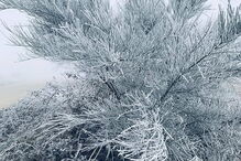 Bragança pintada de branco