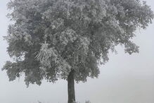 Bragança pintada de branco